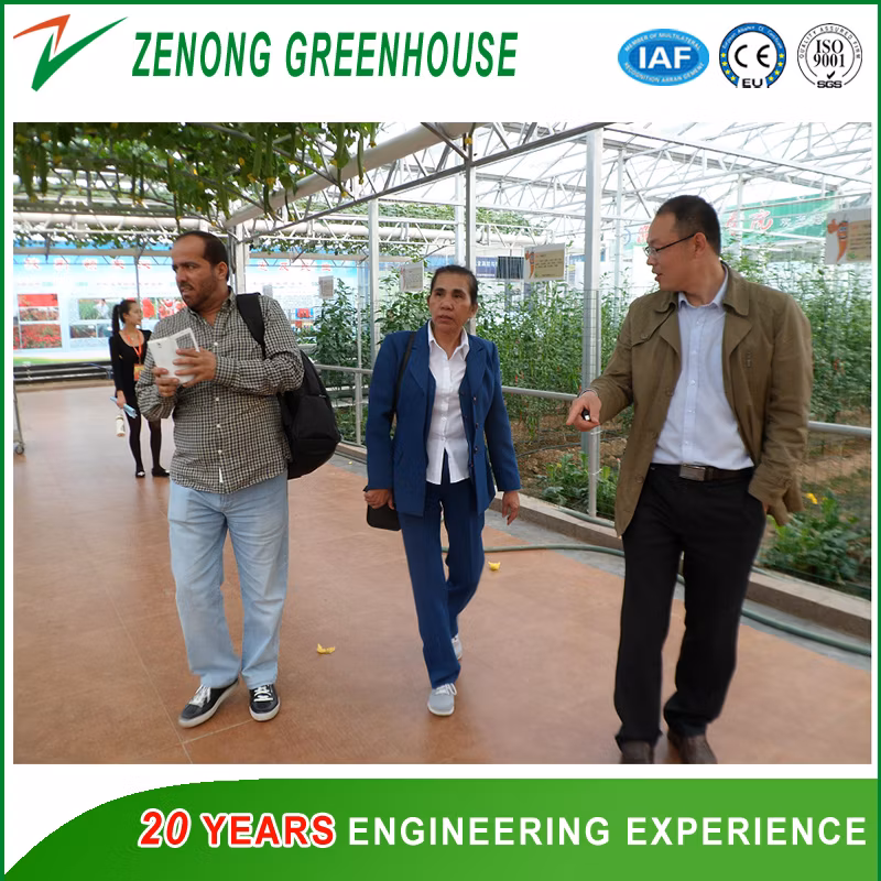 High Quality Agricultural Tunnel Light Deprivation Greenhouse with 100% Blackout Curtain System