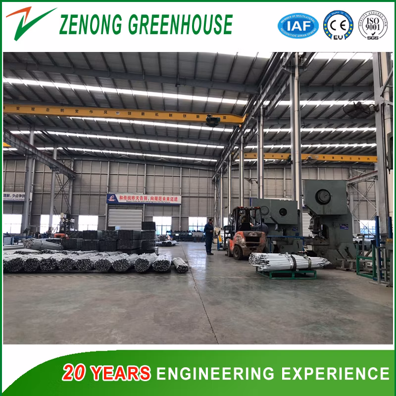 High Quality Agricultural Tunnel Light Deprivation Greenhouse with 100% Blackout Curtain System