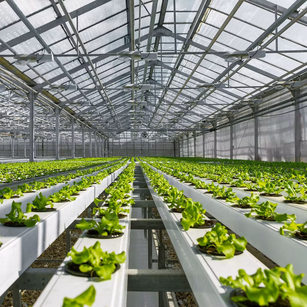 Hydroponic Vegetable Microgreen Leafy Plant Fodder Fruit Smart Vertical Container Farm Seedling Flower Greenhouse Plant Factory