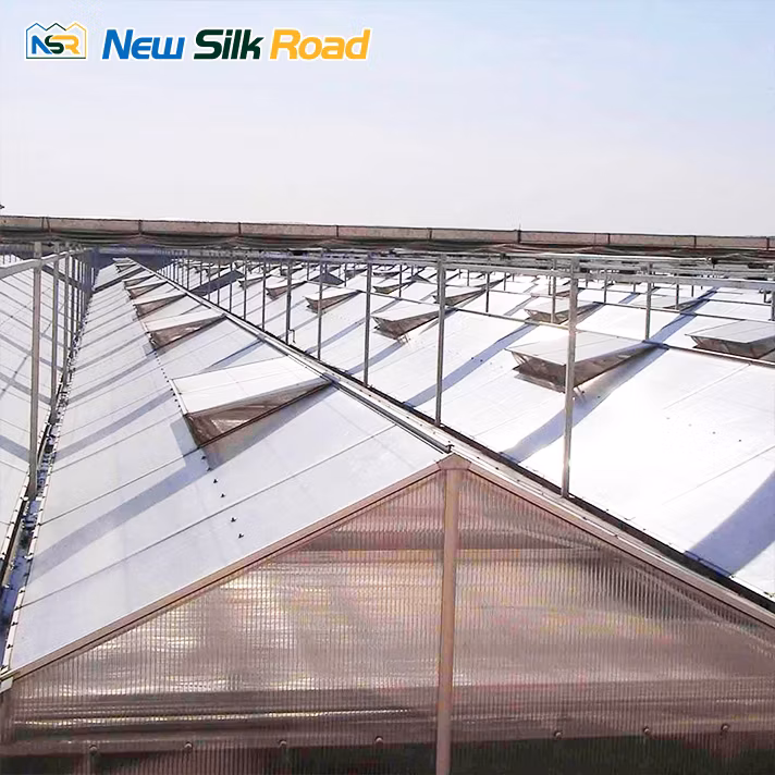 Hydroponics System Agricultural Galvanized Frame Polycarbonate Greenhouse