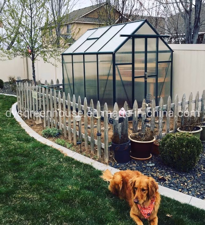 Hot Sale Garden Decorative Planting Flowers Metal Greenhouse Rdgu0808-6mm