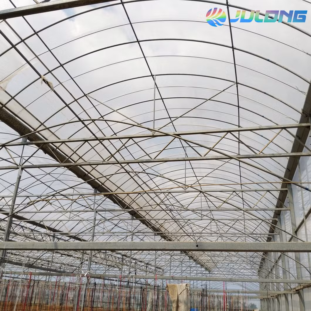 Fish and Vegetable Co-Existing System Agricultural Aquaponics Greenhouse