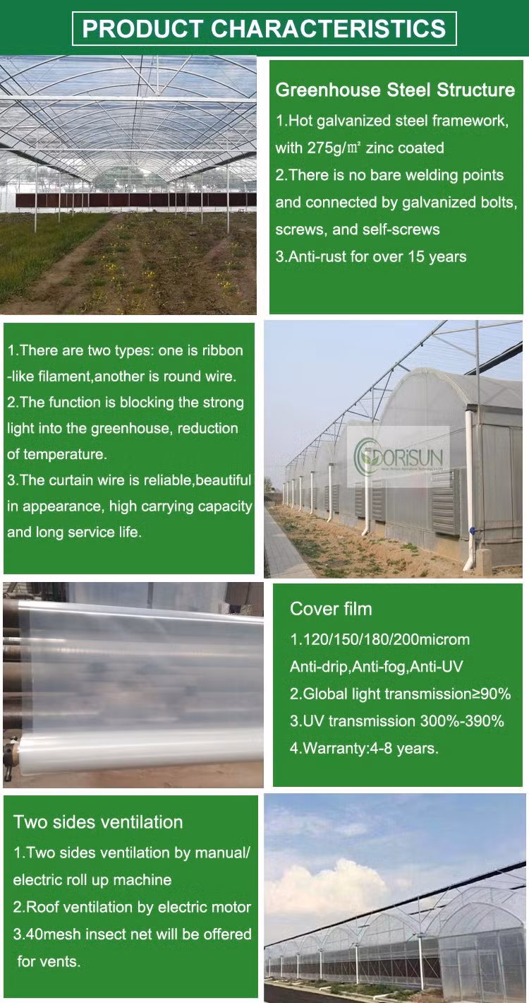 Venlo Glass Greenhouse Agricultural Greenhouse Morocco Galvanized Pipe for Greenhouse Steel Structure
