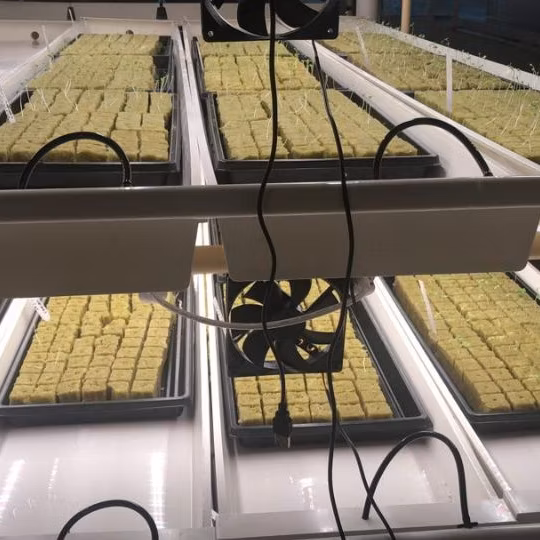 Hydroponic Vegetable Microgreen Leafy Plant Fodder Fruit Smart Vertical Container Farm Seedling Flower Greenhouse Plant Factory