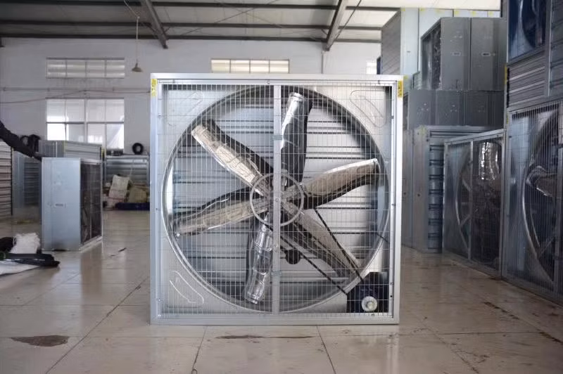 Low Cost Multi-Span Arch Modern Agricultual Greenhouse with Hydroponics System for Seedling Cultivation