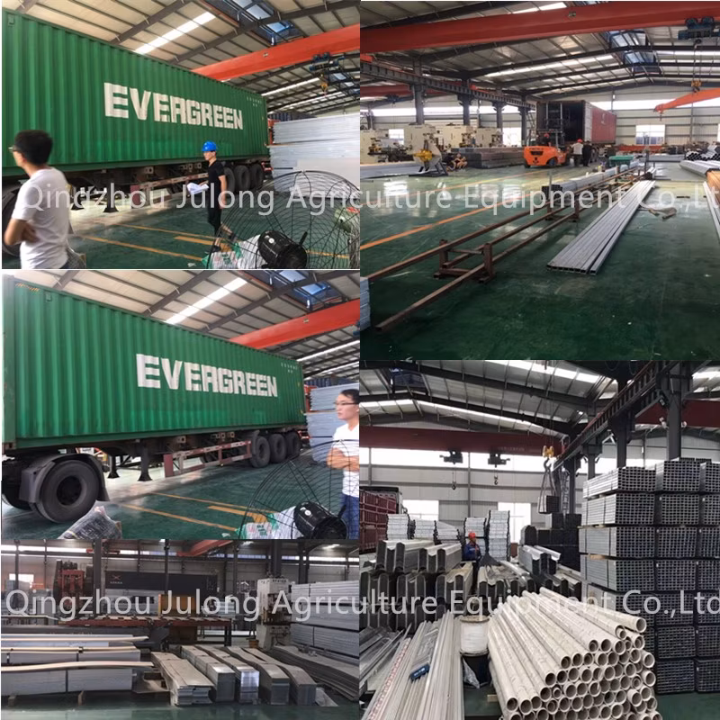 Good Quality Steel Structure Garden Greenhouse Hydroponic Growing Systems for Vegetables