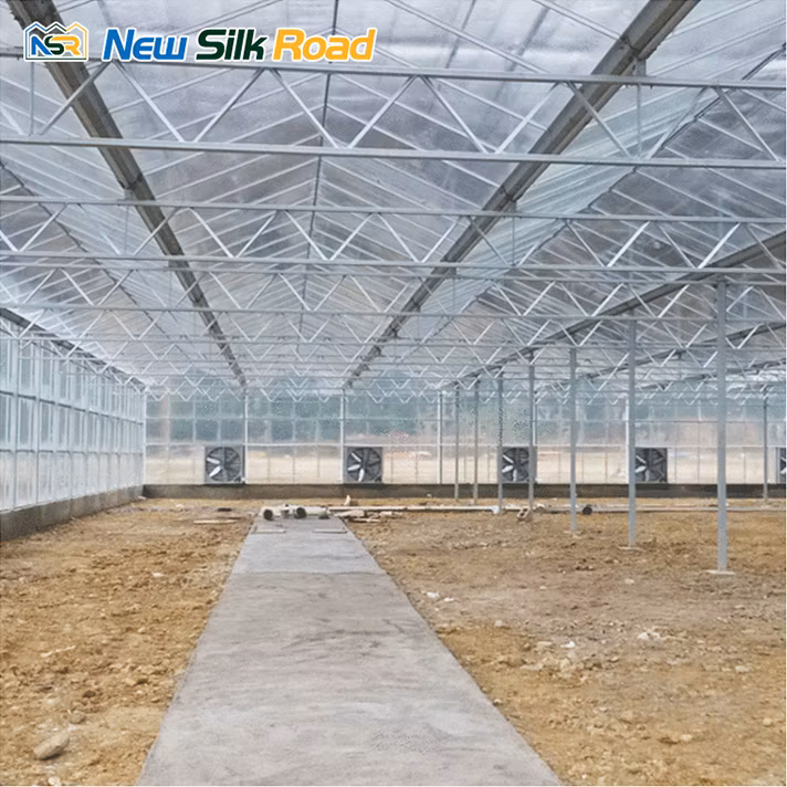 Multi-Span Venlo Glass Polycarbonate Greenhouse Glass Greenhouse for Agro