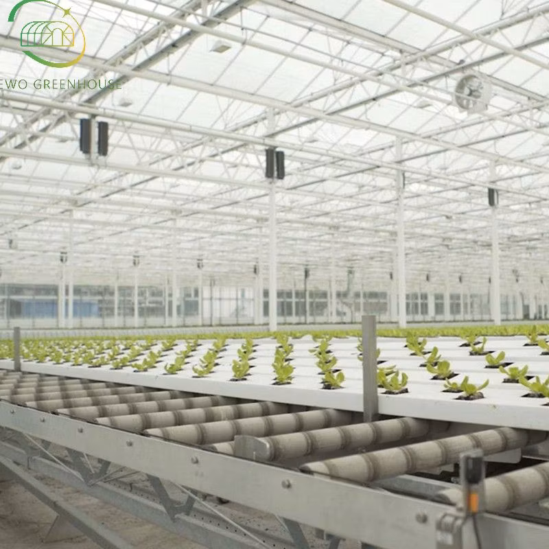 Agricultural Hydroponic-System Smart Home Vertical Farming Indoor Hydroponics System for Lettuce