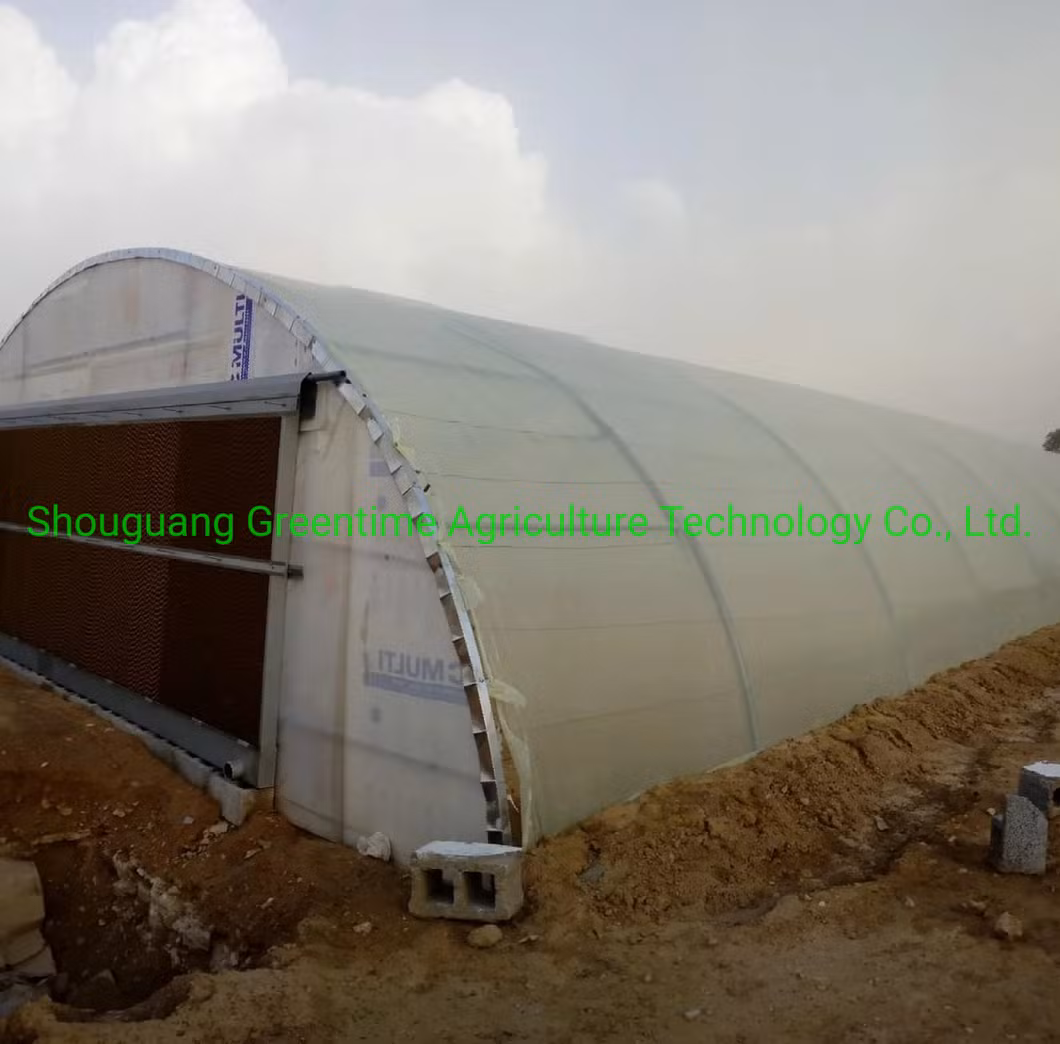 More Than 5 Years Life Anti-Dripping Agricultural Greenhouse 120 Micron PE/Po Film