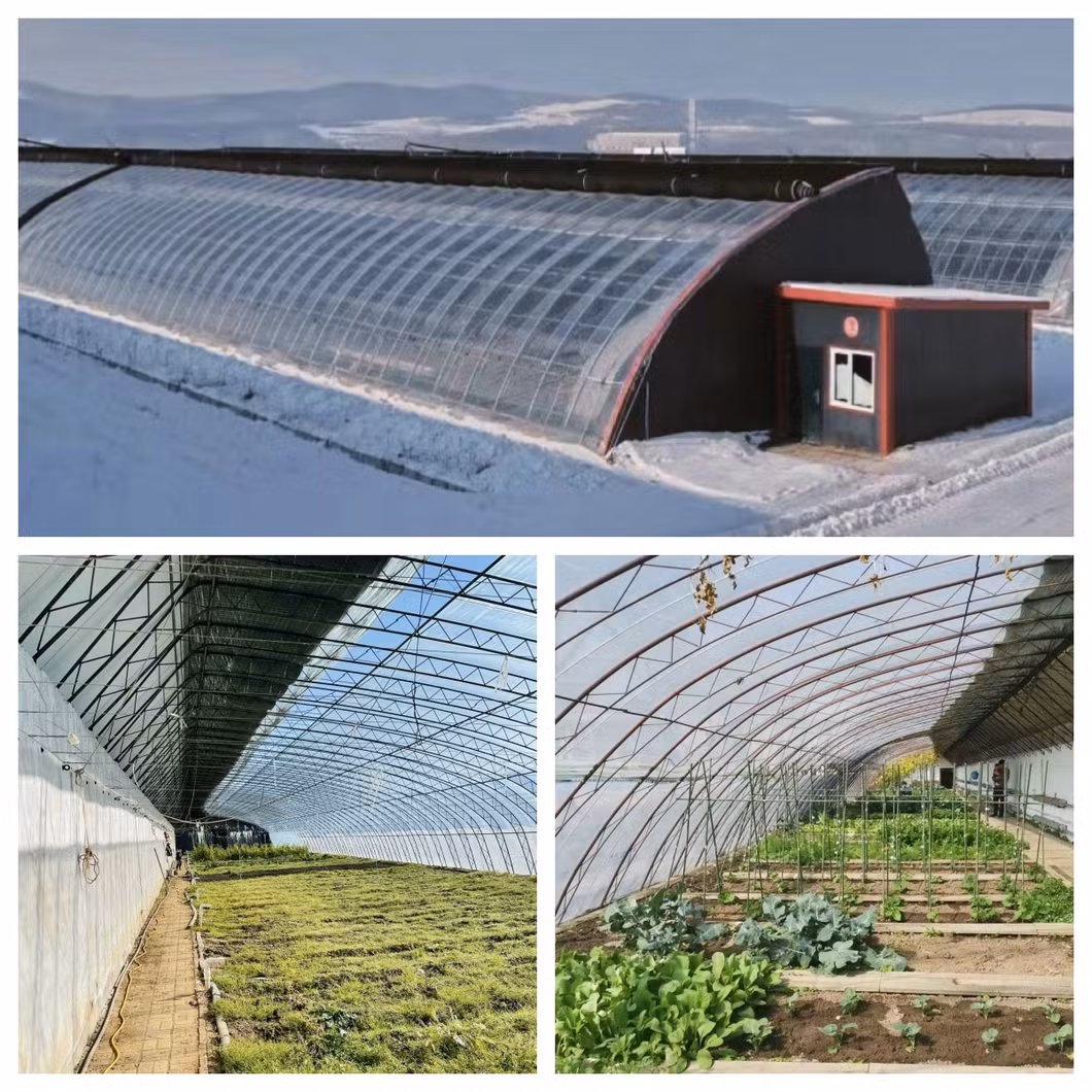 Double Arch Beam Sunlight Film Greenhouse Flower Planting Vegetable Production