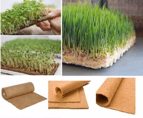Hydroponic Vegetable Microgreen Leafy Plant Fodder Fruit Smart Vertical Container Farm Seedling Flower Greenhouse Plant Factory