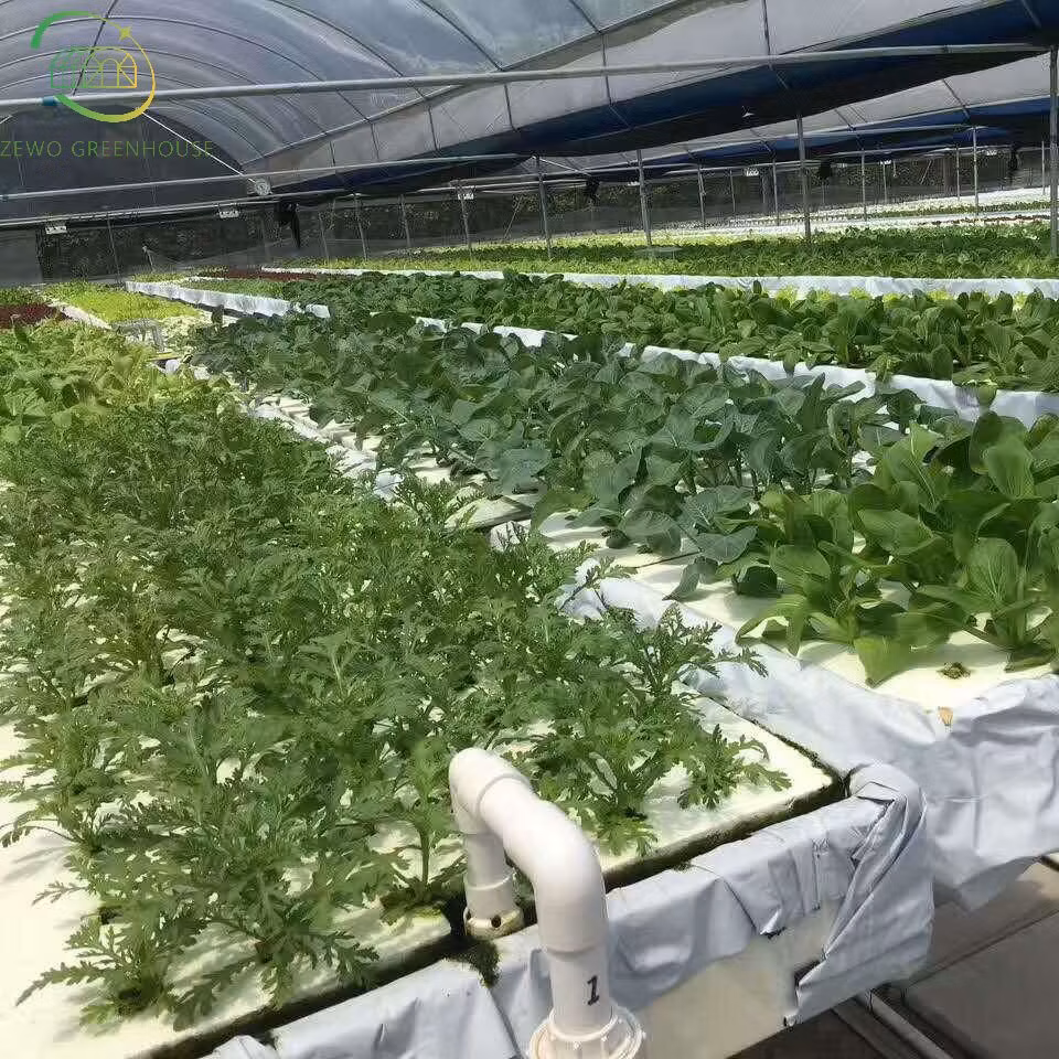 Agricultural Hydroponic-System Smart Home Vertical Farming Indoor Hydroponics System for Lettuce