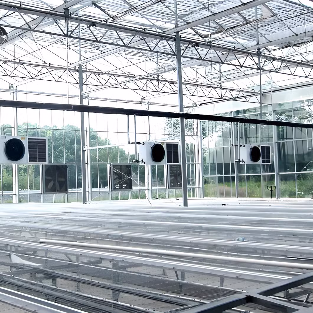 Premium Quality Greenhouse with Reliable Roofing Sheet for Year-Round Farming