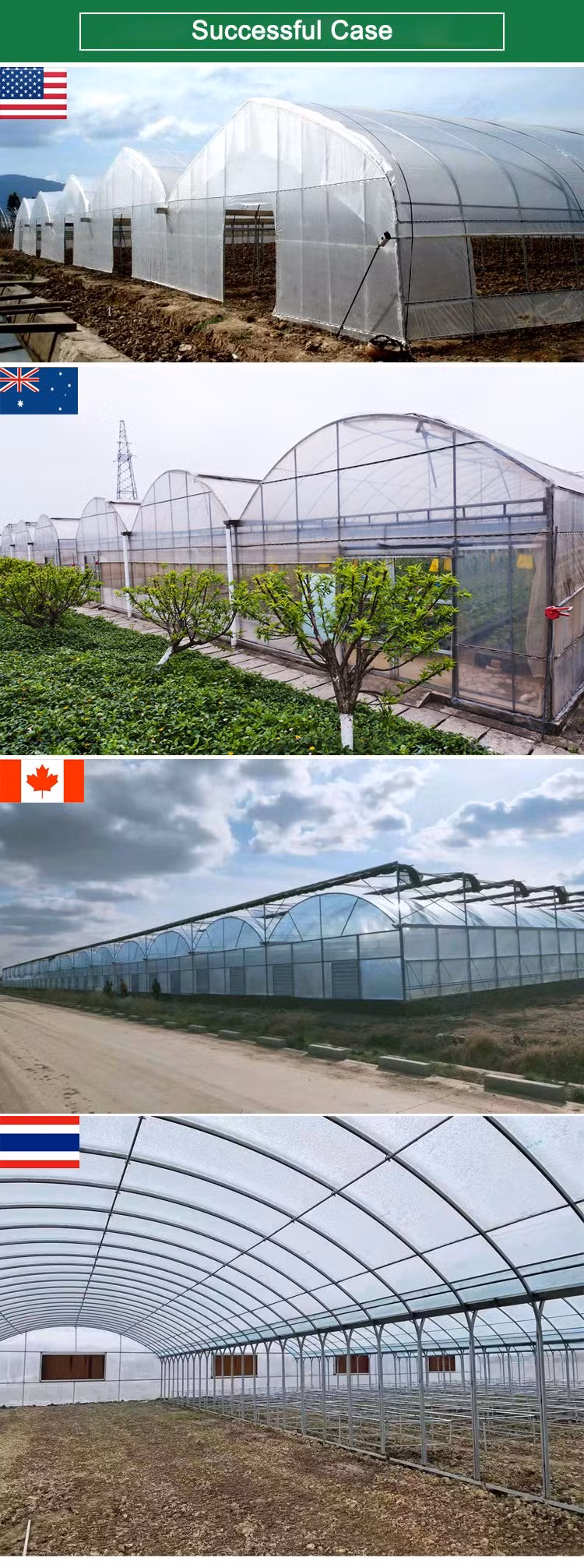 Venlo Glass Greenhouse Agricultural Greenhouse Morocco Galvanized Pipe for Greenhouse Steel Structure