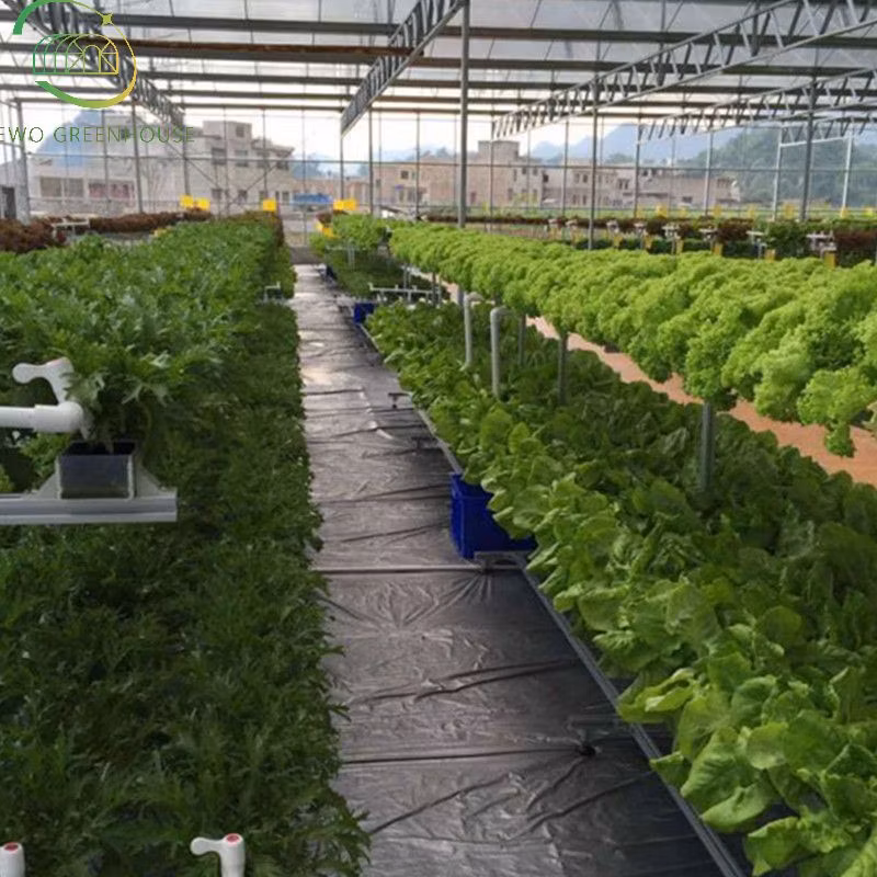Agricultural Hydroponic-System Smart Home Vertical Farming Indoor Hydroponics System for Lettuce