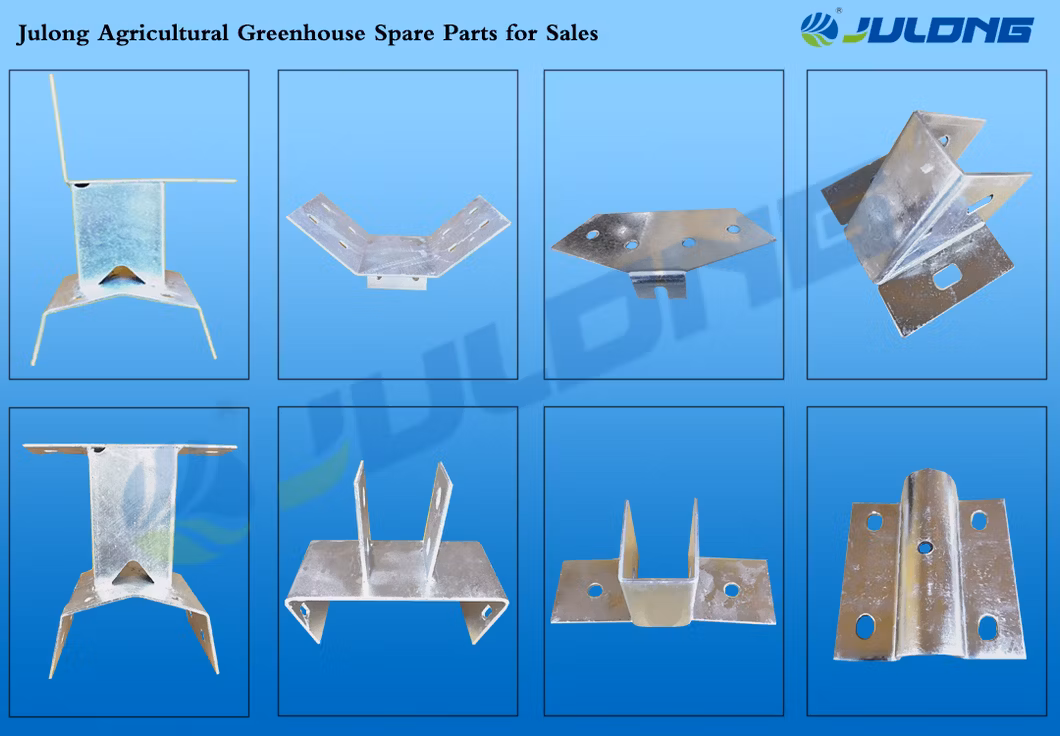 Fish and Vegetable Co-Existing System Agricultural Aquaponics Greenhouse