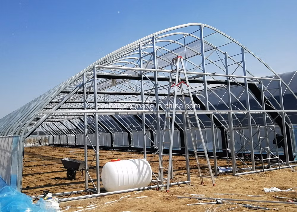 High Quality Agricultural Tunnel Light Deprivation Greenhouse with 100% Blackout Curtain System
