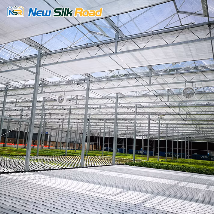 China Factory Agricultural Glass Greenhouse Glasshouse