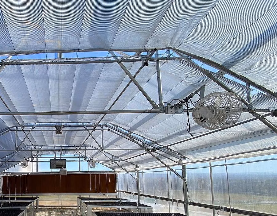Agricultural Intelligent Sunlight Film Greenhouse with Insect Proof Net