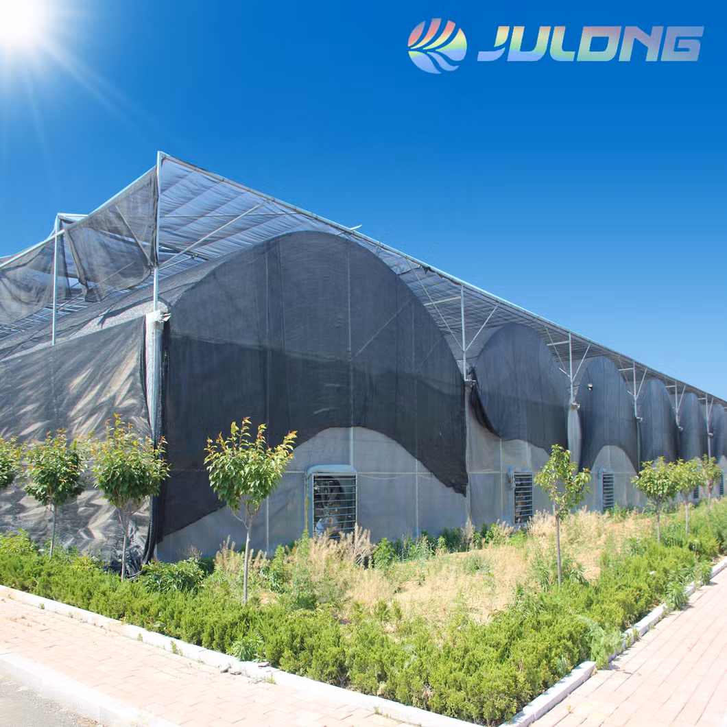 Filmed Surface Treatment and Large Size Tomato Greenhouse