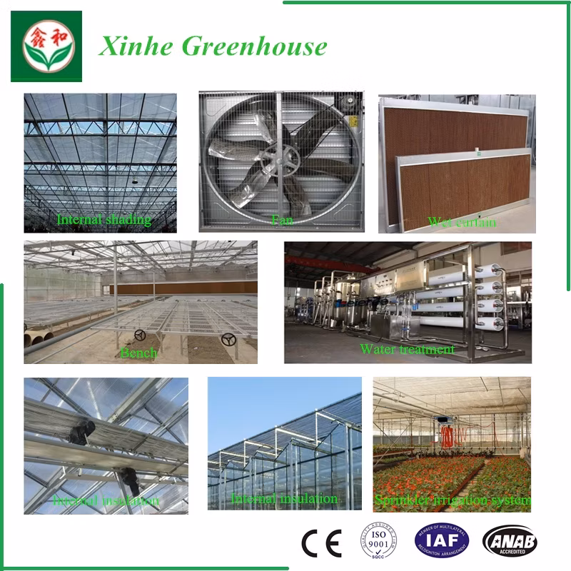 Cost-Efficient Film Greenhouses for Strawberry