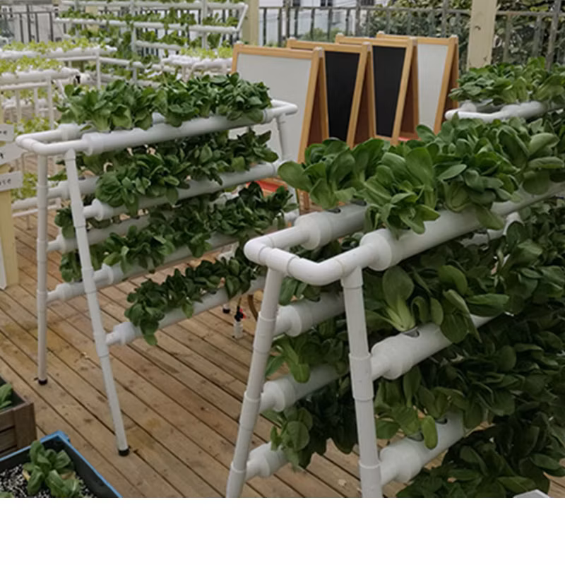 200 Micron Plastic Greenhouse Covering Film UV Resistant Agricultural Greenhouse Film