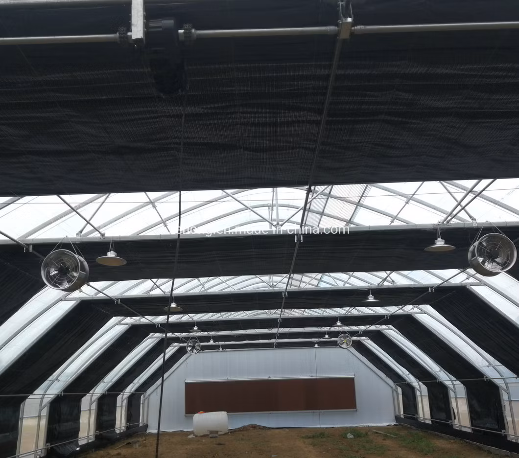 High Quality Agricultural Tunnel Light Deprivation Greenhouse with 100% Blackout Curtain System