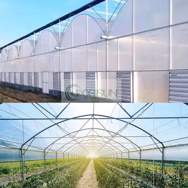 Venlo Glass Greenhouse Agricultural Greenhouse Morocco Galvanized Pipe for Greenhouse Steel Structure