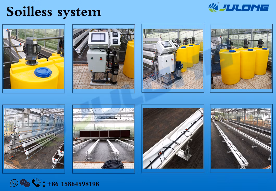 Fish and Vegetable Co-Existing System Agricultural Aquaponics Greenhouse