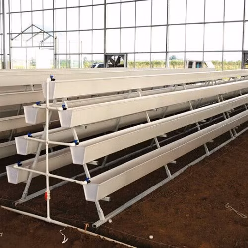 Tunnel Greenhouse Vertical a Type Strawberries Farm High Output Smart Farming Hydroponic