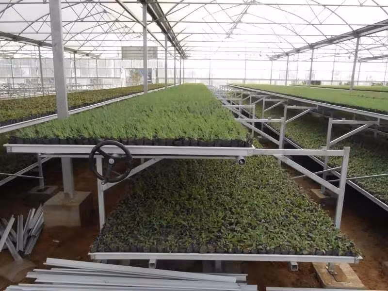 Chinese Supplier Multi-Span Greenhouse with Vertical Hydroponics System for Flowers/Vegetables Planting
