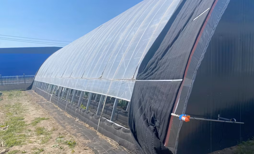 Double Arch Beam Sunlight Film Greenhouse Flower Planting Vegetable Production