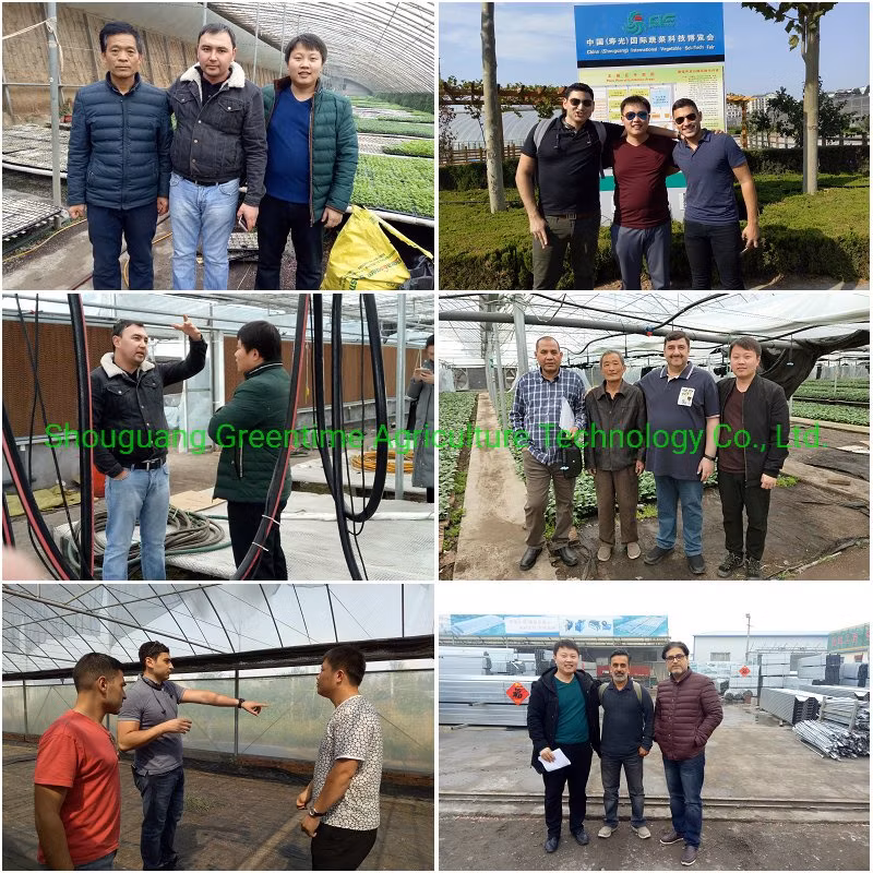 More Than 5 Years Life Anti-Dripping Agricultural Greenhouse 120 Micron PE/Po Film