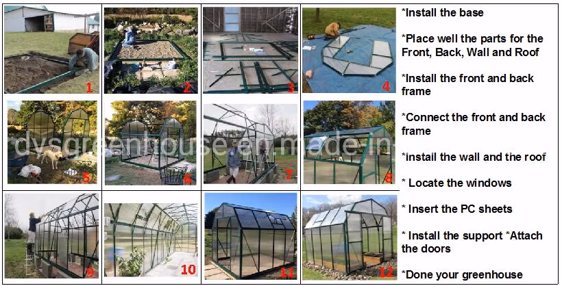 Hot Sale Garden Decorative Planting Flowers Metal Greenhouse Rdgu0808-6mm