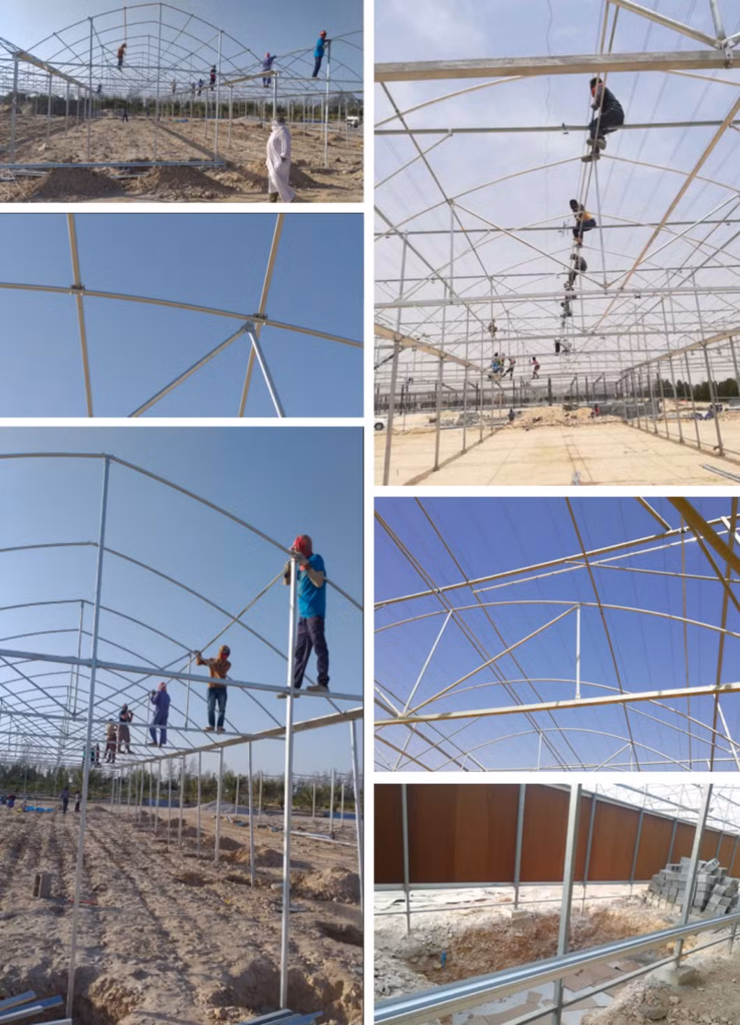 Intelligent High Quality Agricultural Glass Greenhouse with Auto Control System