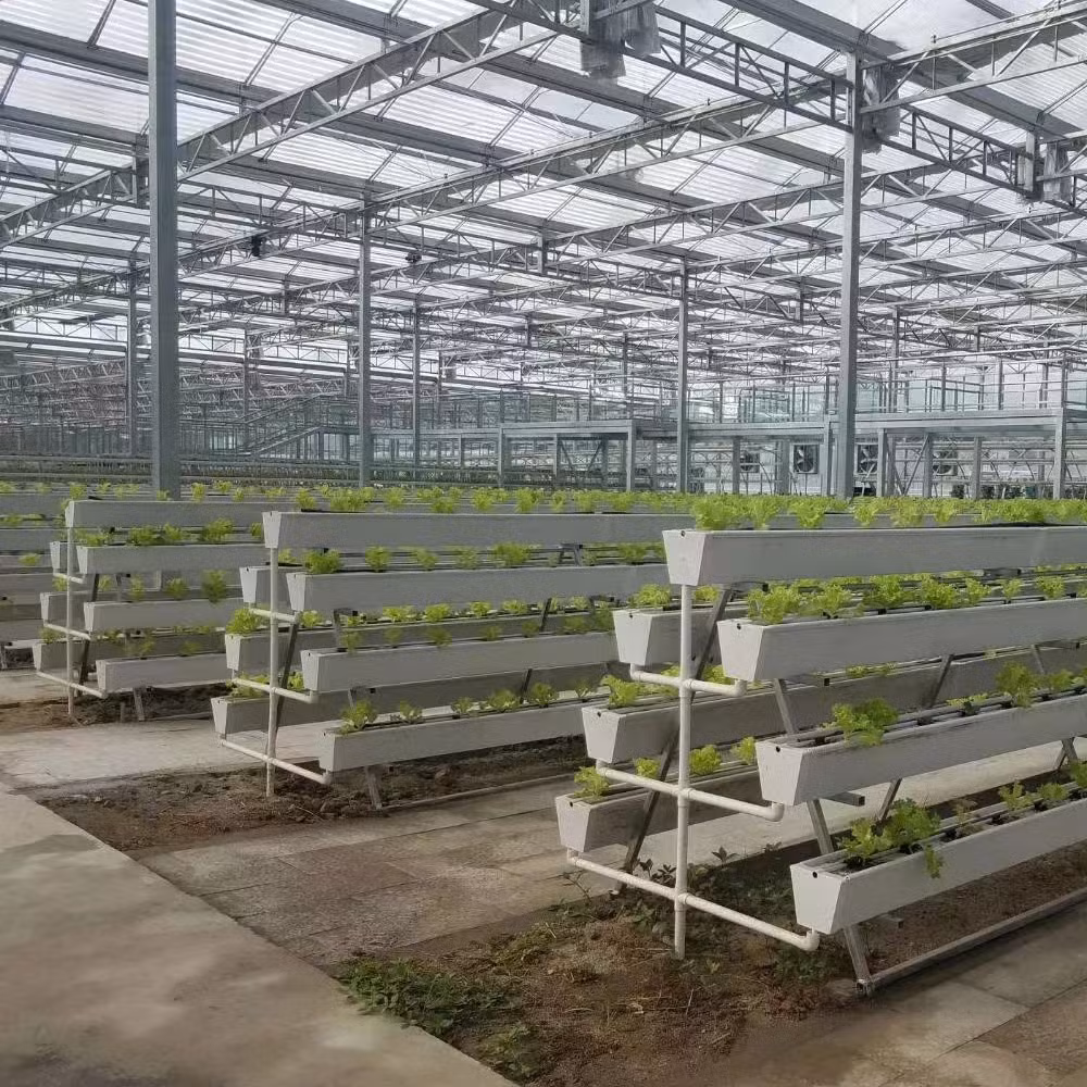 Automated Hydroponic System Plastic Shed Singlespan Greenhouse for Strawberry