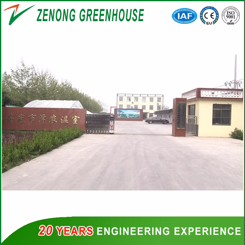 Greenhouse Seedling Seedbed Movable Bench for Culture of Seedling