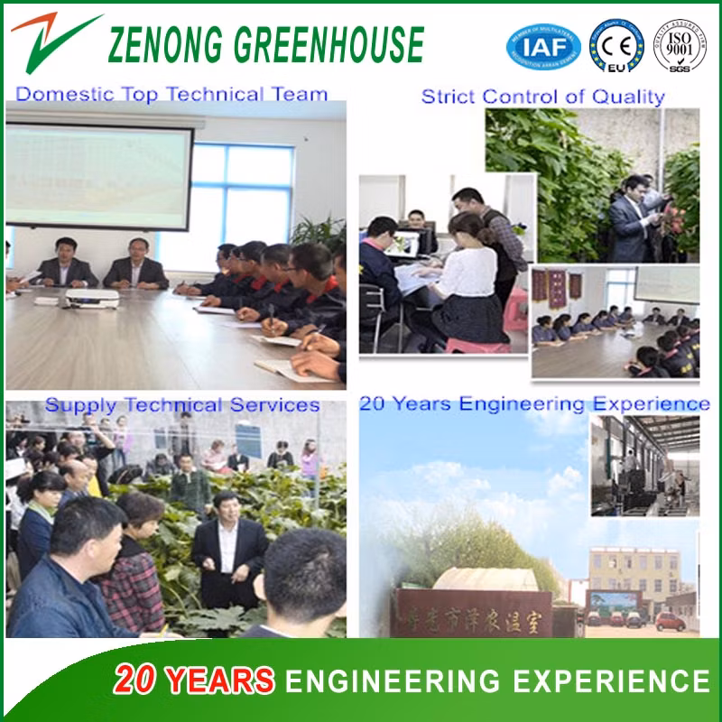 Modern Tempered Glass Multi-Span Greenhouse with Hydroponcis for Sightseeing/Ecological Picking/Fruit Tree