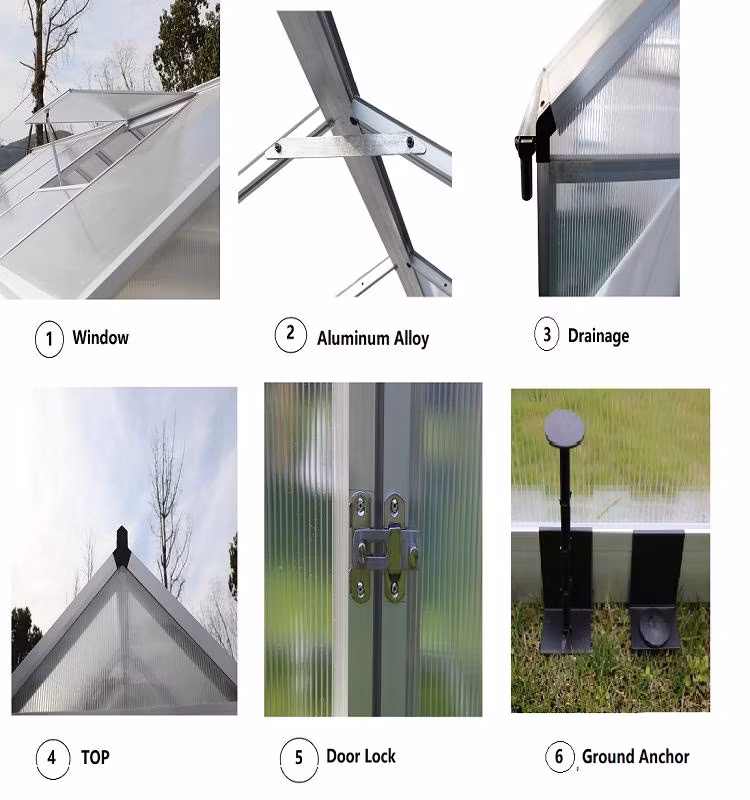 China Wholesale Double Glazed Tempered Insulated Glass Greenhouse Sunroom Houses