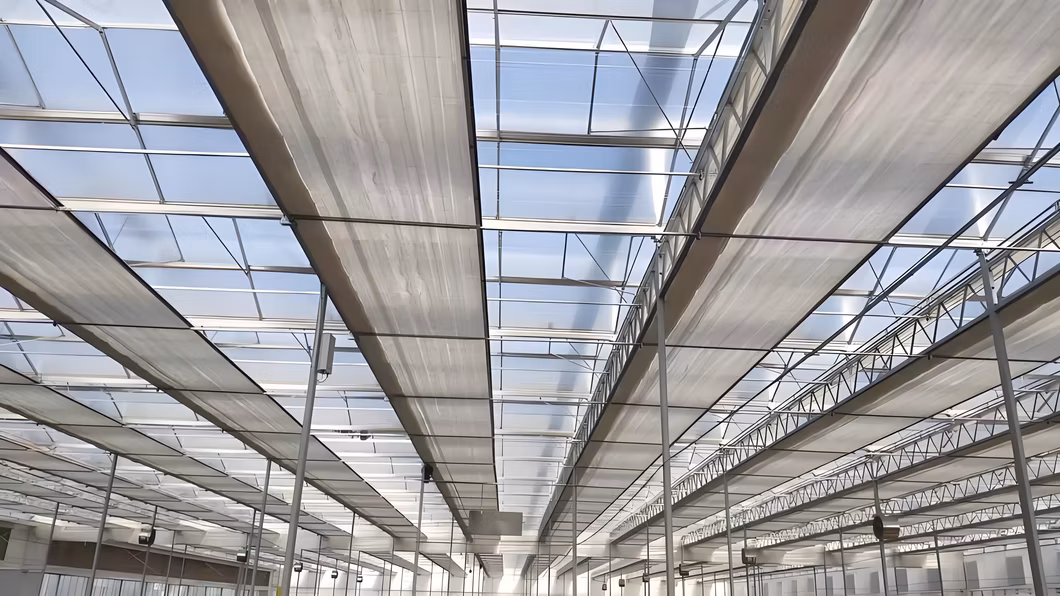 Venlo Polycarbonate Energy Drive Photovoltaic Panel Solar Glass Greenhouse