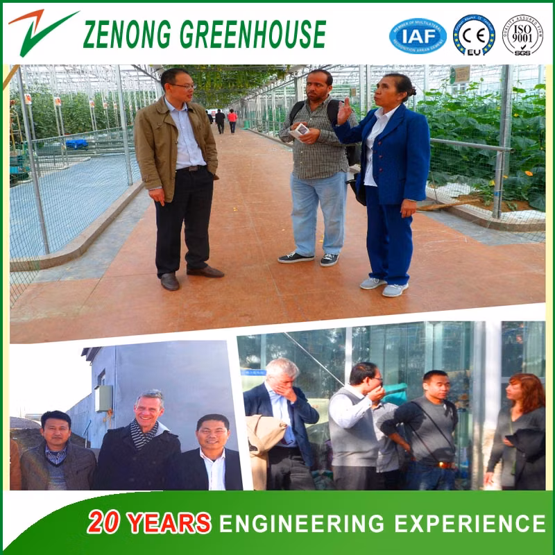 Modern Tempered Glass Multi-Span Greenhouse with Hydroponcis for Sightseeing/Ecological Picking/Fruit Tree