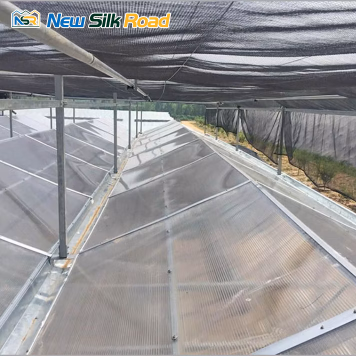 Hydroponics System Agricultural Galvanized Frame Polycarbonate Greenhouse