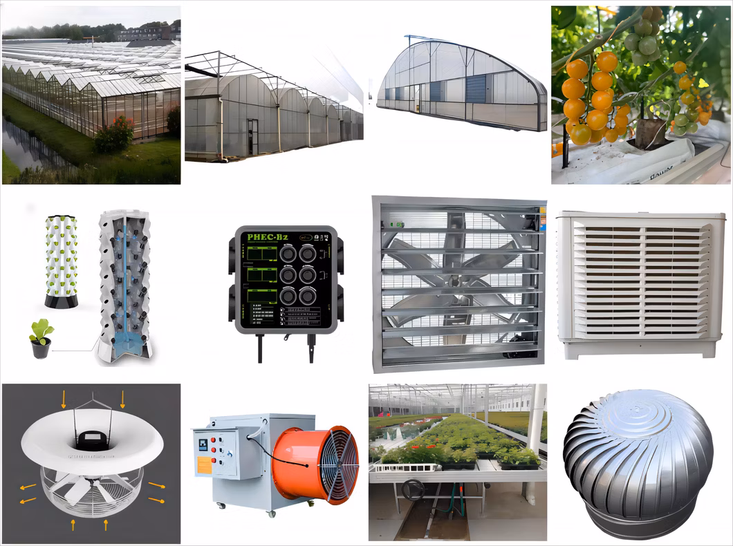 Agricultural Multi-Span Poly Film PE Plastic Films Greenhouse for Blueberry Tomato