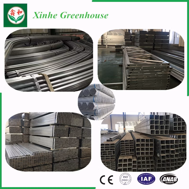 Cost-Efficient Film Greenhouses for Strawberry