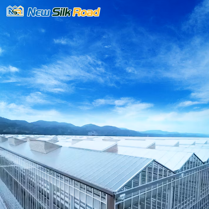 Multi-Span Venlo Glass Polycarbonate Greenhouse Glass Greenhouse for Agro