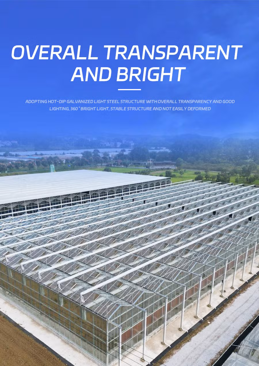 Glass Greenhouse Beautiful for High-End Crop Planting to Increase Output Value and Quickly Recover Investment Costs
