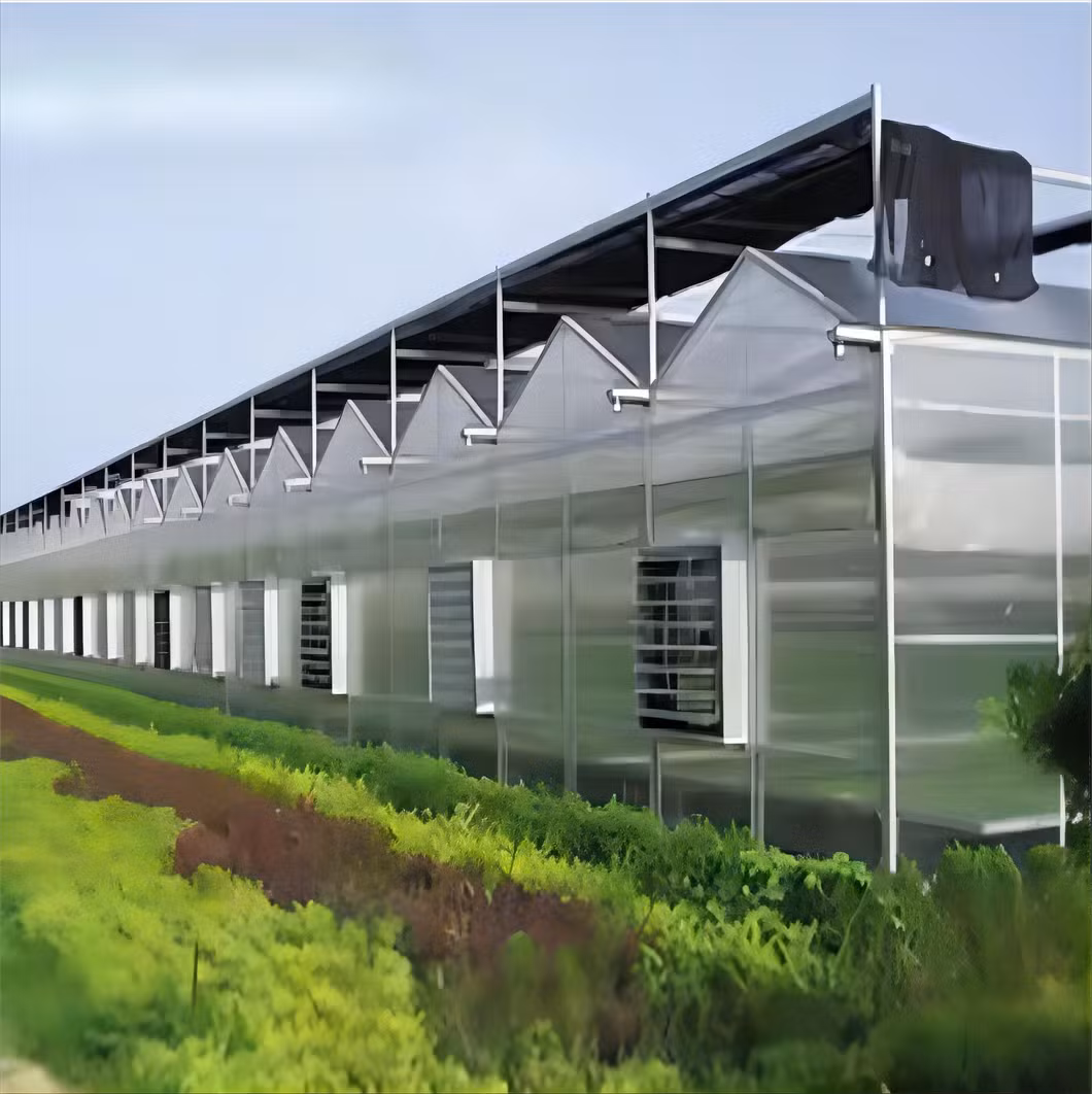 Aluminum Frame PC Plastic Board Greenhouse with Hydroponics System and Blackout Net