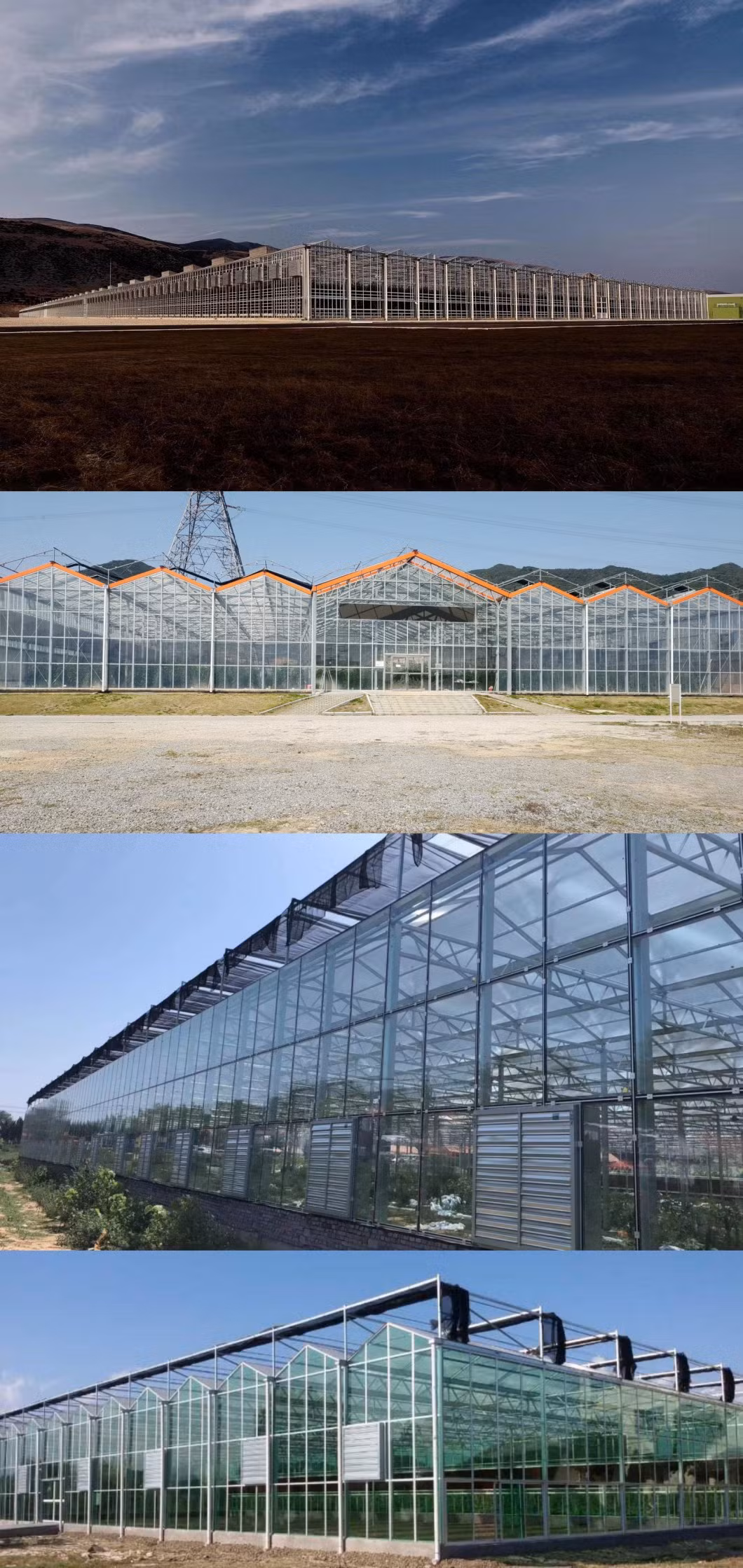 Fully Auto Control Multispans Tempered Glass Green House for Flower Market/Eco Restaurant
