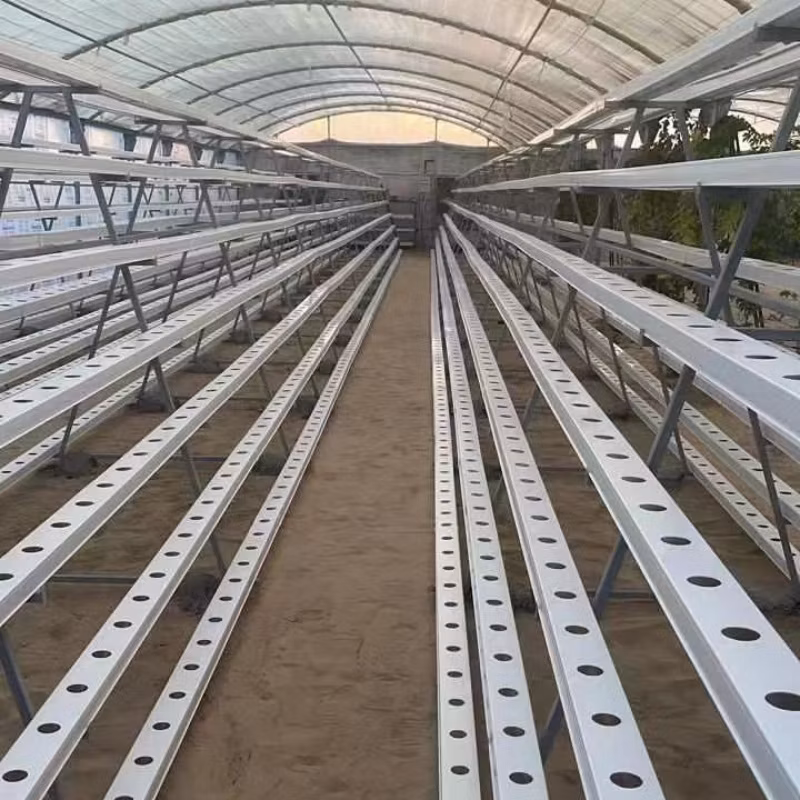 Vertical Farming Solutions Indoor Hydroponic Gardening Nft Setup