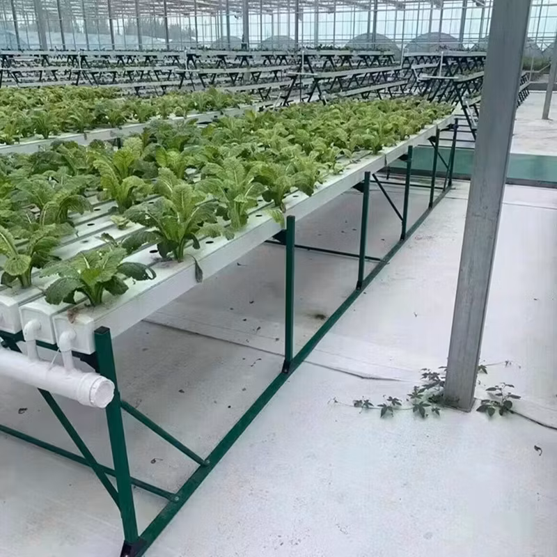 Chinese Supplier Multi-Span Greenhouse with Vertical Hydroponics System for Flowers/Vegetables Planting